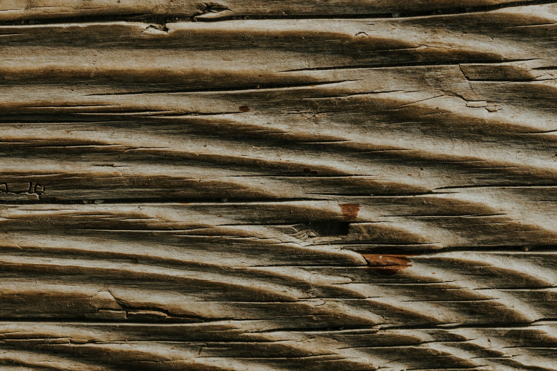 Do Termites Eat Heat Treated Wood? Insights from Westwood Millworks