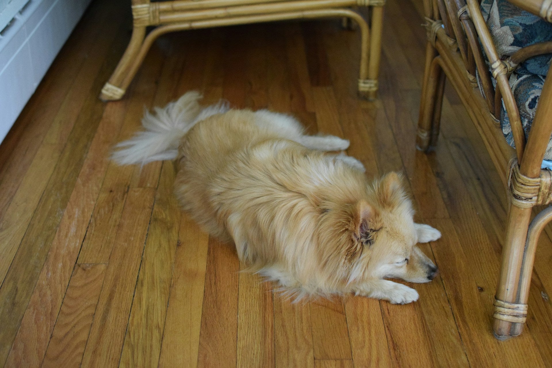 How is Engineered Hardwood Made? Insights from Westwood Millworks