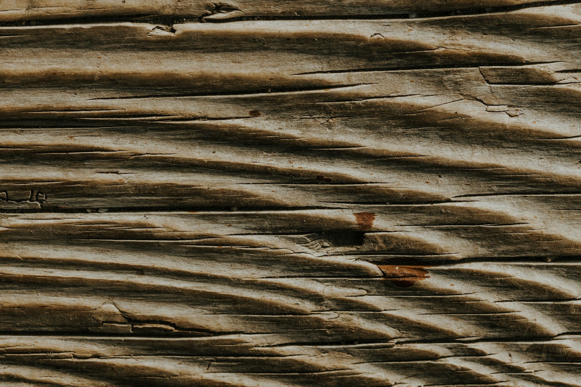 Do Termites Eat Heat Treated Wood? Insights from Westwood Millworks